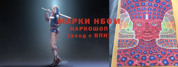 индика Алзамай