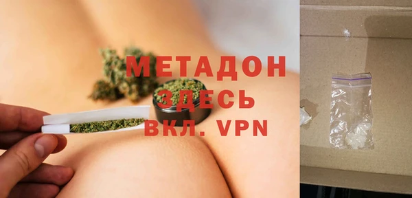 индика Алзамай