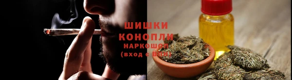 индика Алзамай