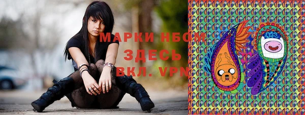 кокс Алексин