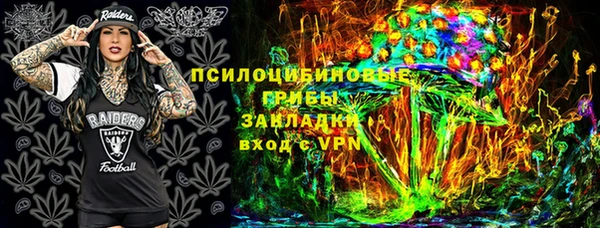 индика Алзамай