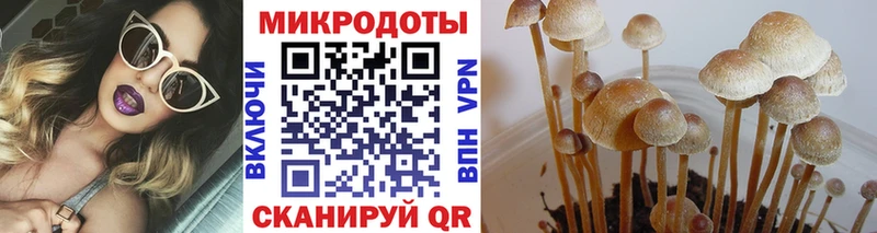 Галлюциногенные грибы Cubensis  Олонец 